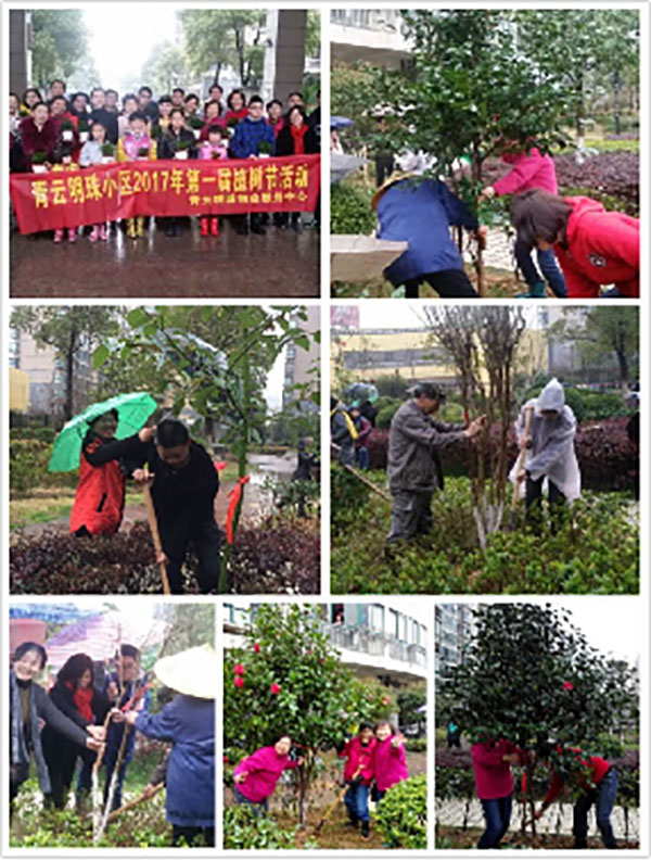 播一片綠林，種一份愛心